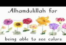 Alhamdulillah For Being Able To See Colour